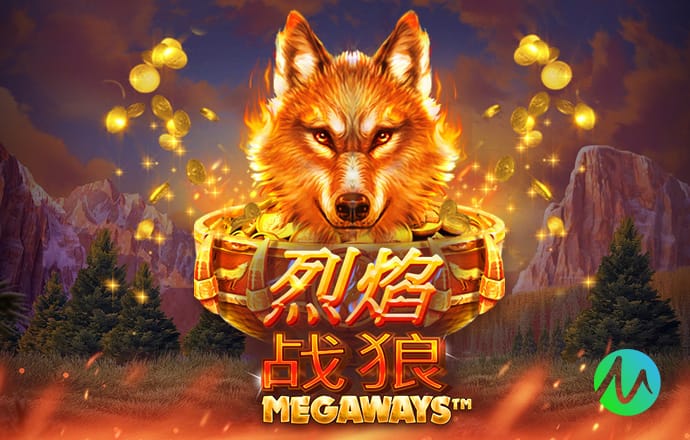 萨哈：范德芬能帮助曼联更进一步，他若加盟将是令人兴奋的补充